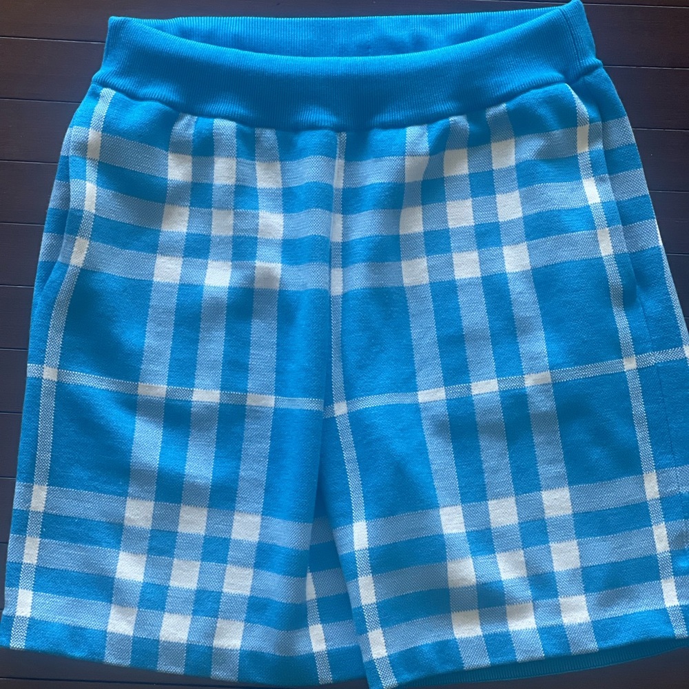 Authentic Mens Burberry Check Silk Wool Shorts Size (Small)